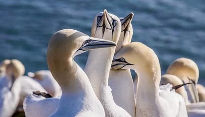 山东男篮分享陈林坚首秀精彩集锦：“林”机应变，“坚”不可摧