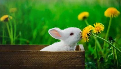 山东男篮分享陈林坚首秀精彩集锦：“林”机应变，“坚”不可摧