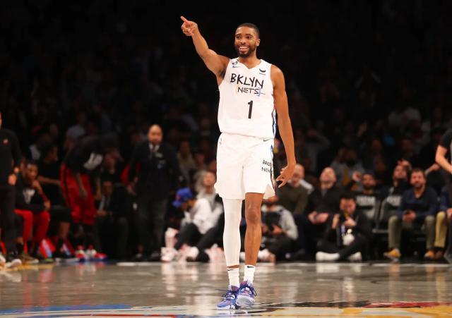 1677145826607002721.jpg netsbridges.jpg